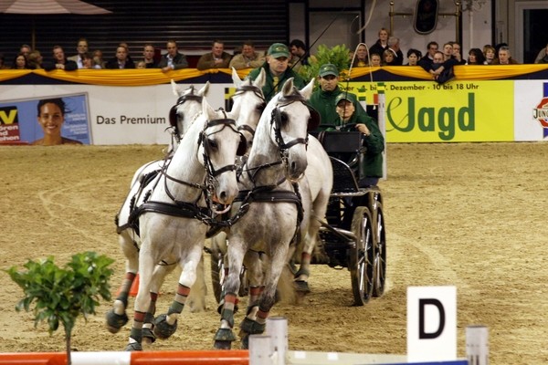 GC Vierspaenner 022.jpg
